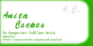 anita csepes business card